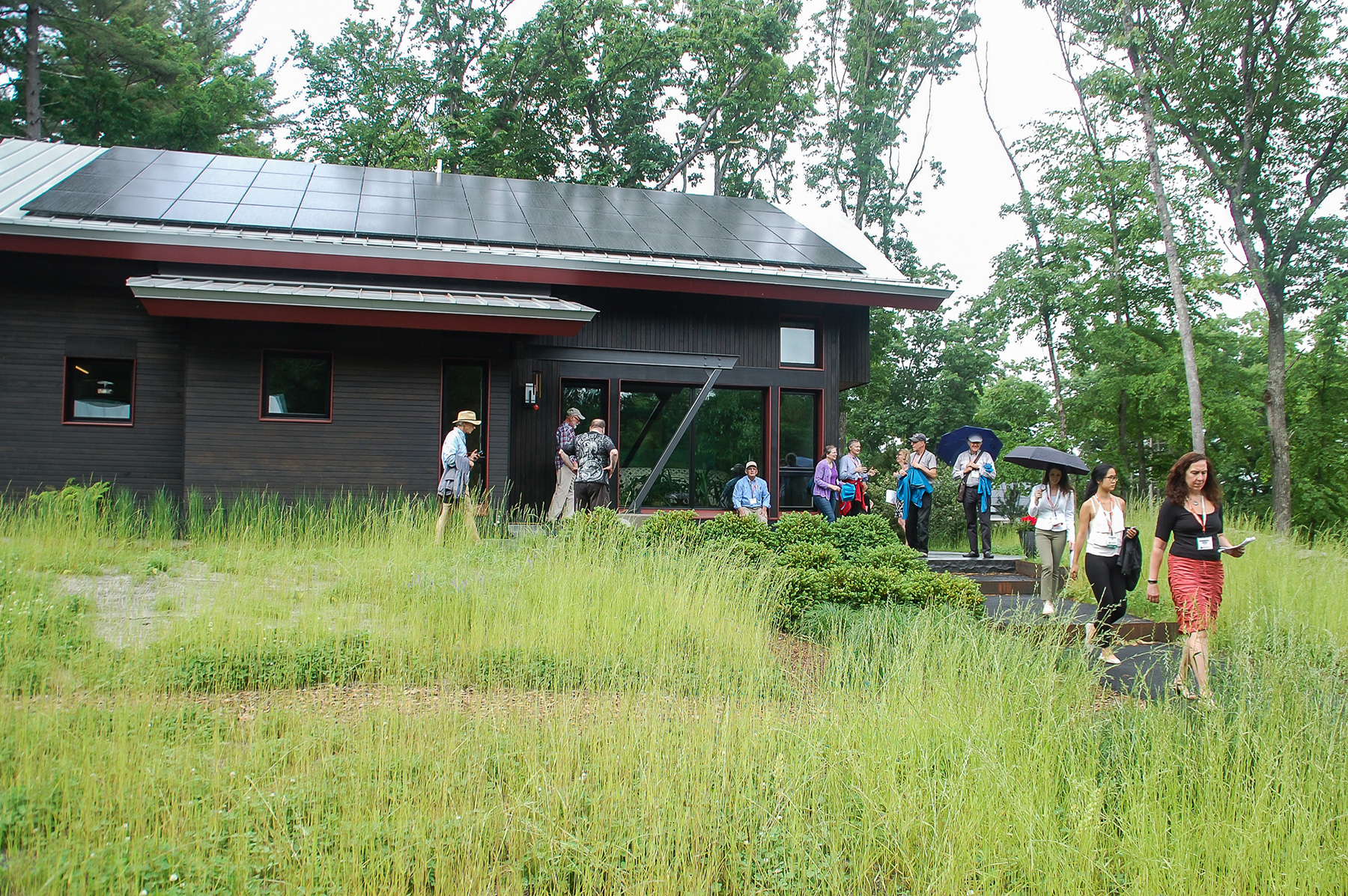 NESEA tour group visiting the site with emerging meadow mix at junction of front COR-TEN and crushed stone staircase, evergreen shrubs to the left of the walkway and patio of blue mist granite at the top.