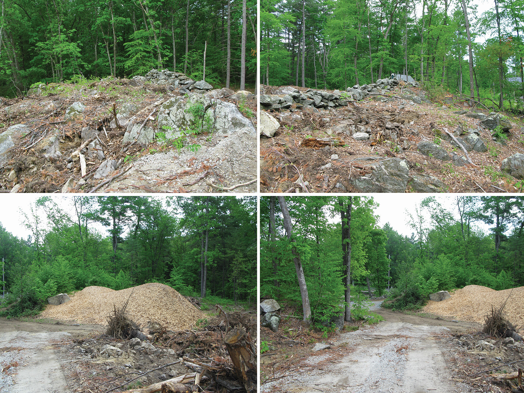 Bark chips stored for paths, condition of site during construction and extent of work to get it cleaned up and ready for erosion-control seed mix, a mix of over 20 species.